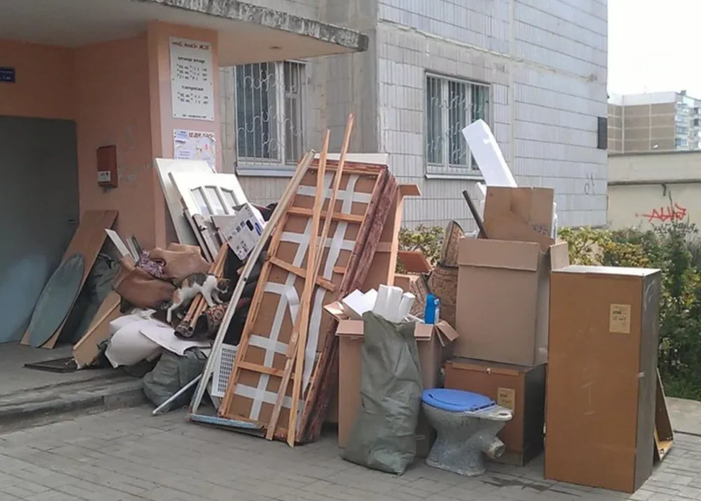 Профессиональный вывоз мусора из квартиры в Гае в октябре