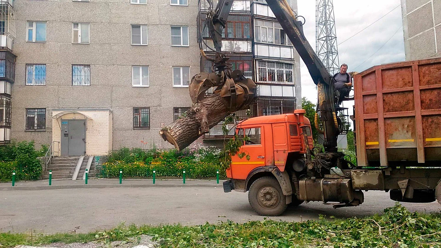Вывоз спиленных веток и деревьев в Гае от ПроМусор: порубочные остатки, утилизация, цена от 2948 руб