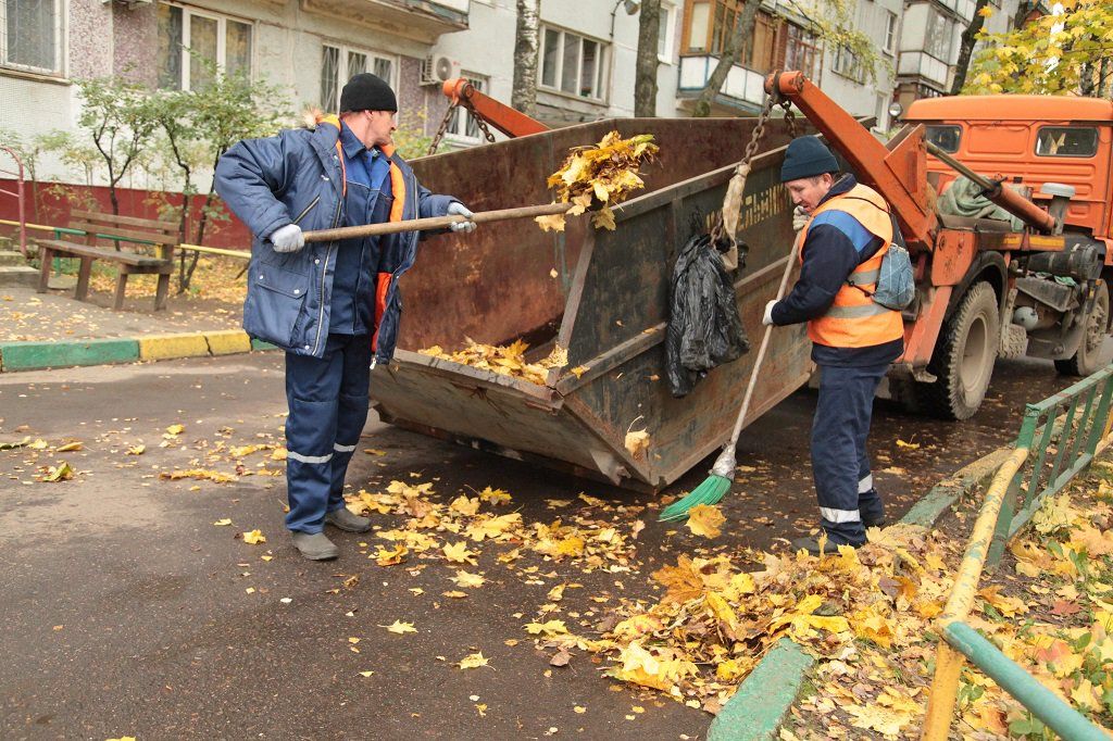 Вывоз опавшей листвы и растительного мусора в Гае от ПроМусор – цена от 4575 руб., быстрая уборка и утилизация